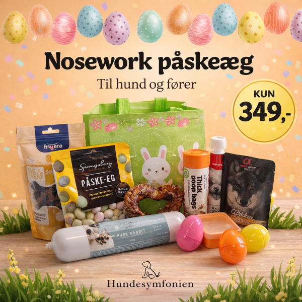 Nose work p&aring;ske&aelig;g 2026