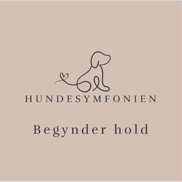 Nose work begynder hold