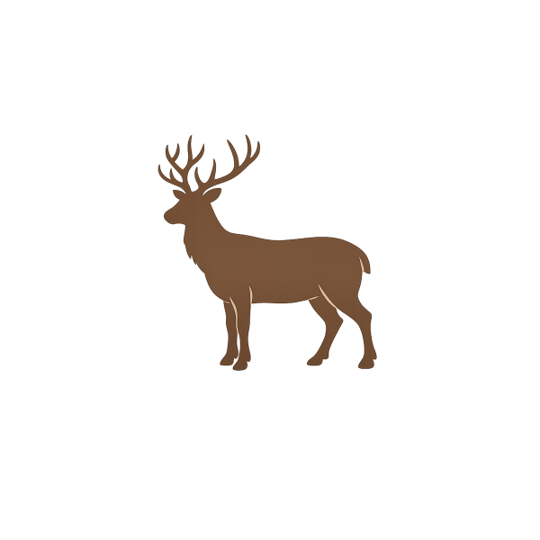 R&aring;dyr/hjort