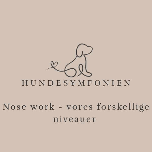 Nose work - vores forskellige niveauer 
