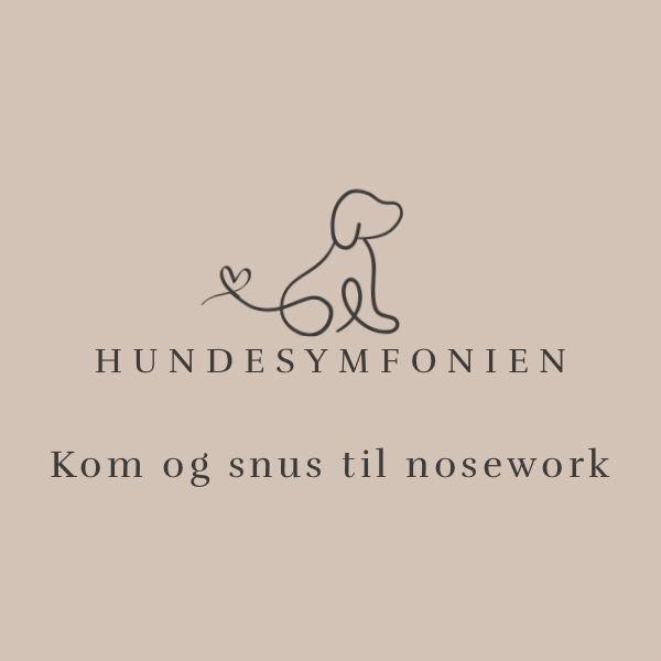 Kom og snus til nose work