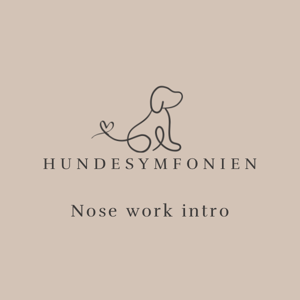 Nose work intro