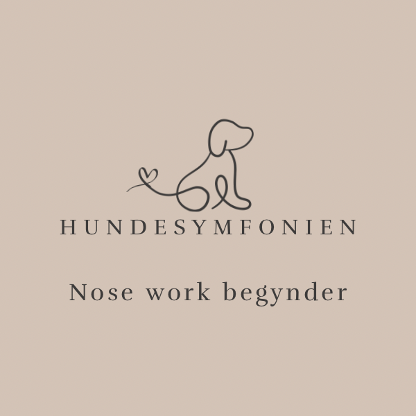 Nose work begynder