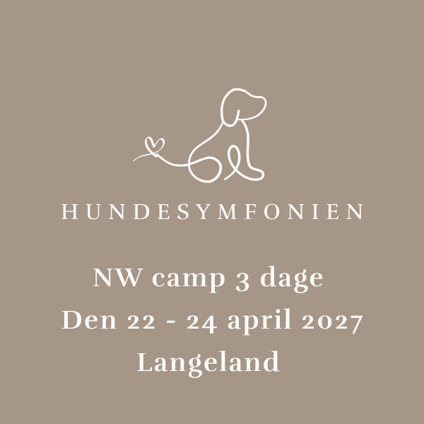 NW camp 3 dage - 22 - 24 april 2027 - Langeland - UDSOLGT