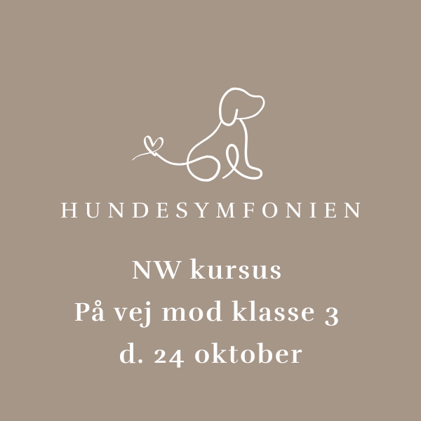 Hundesymfonien NW kursus - P&aring; vej mod klasse 3 - 24/10