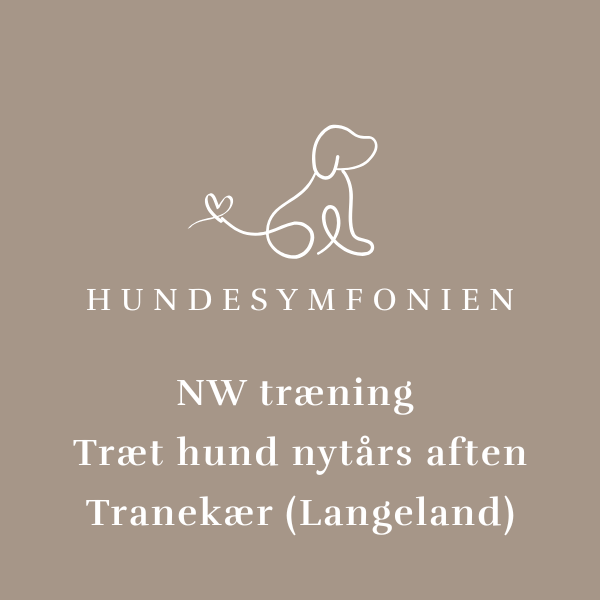 Hundesymfonien NW tr&aelig;ning - Tr&aelig;t hund nyt&aring;rs aften - 5953 Tranek&aelig;r (Langeland) 