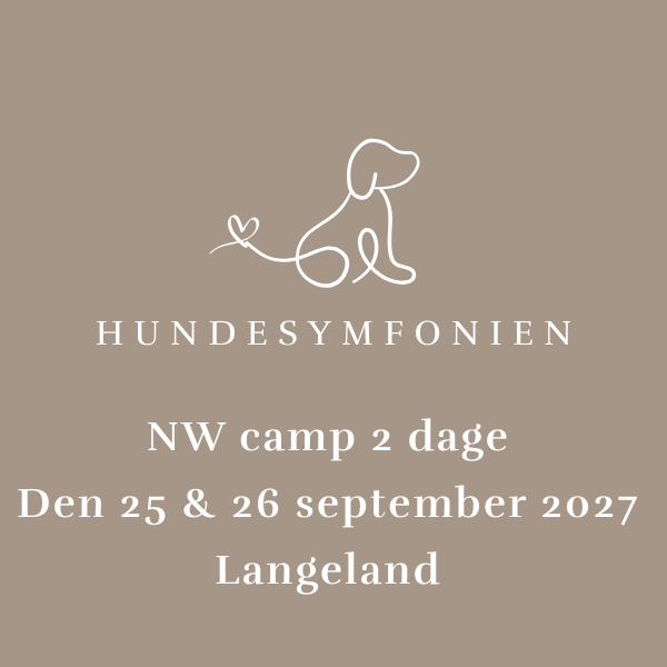NW camp 2 dage - 25 & 26 september 2027 (klasse 2/3) - Langeland