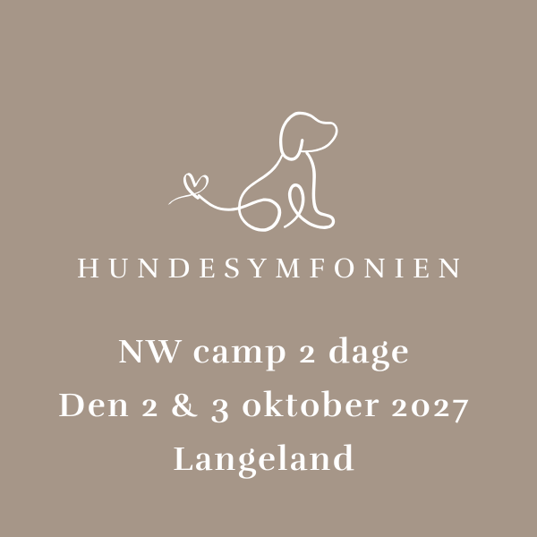 NW camp 2 dage - 2 & 3 oktober 2027 (klasse 2/3) - Langeland