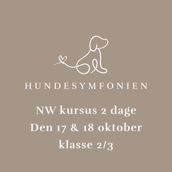  Hundesymfonien 2 dages NW kursus - d. 17/10 & d. 18/10 - klasse 2/3 