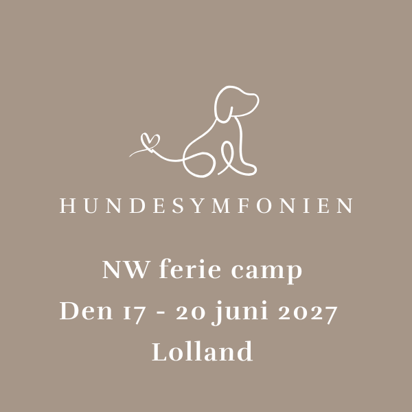 NW ferie camp - 17 - 20 juni 2027 - Lolland (kun for dem, der tr&aelig;ner hos Hundesymfonien)