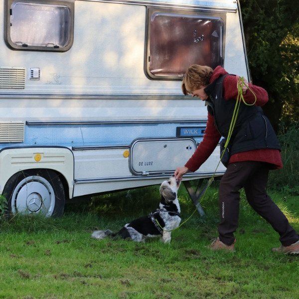 NW kursus 23/11-25 - Hvordan bliver jeg en bedre HF i NW? - Græsted