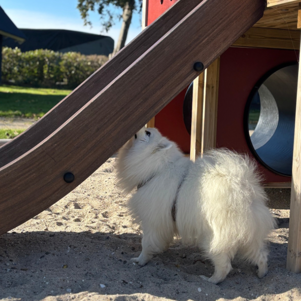 NW online begynder kursus