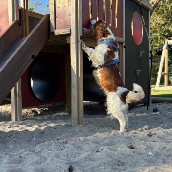 NW kursus 28/12-25 - De høje kilder og de tætte kilder - Langeland (UDSOLGT)