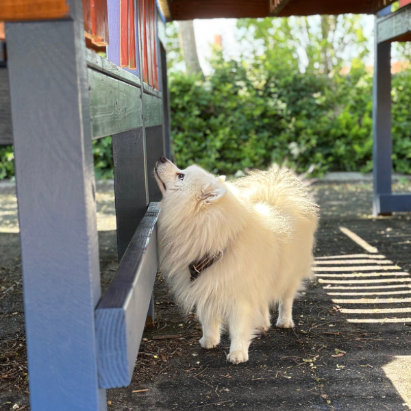 NW kurser - 1 - 9 nov. 2025 - 6980 Tim (Jylland)