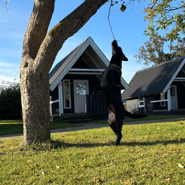 NW camp - 1 - 3 oktober 2026 - Emmerbølle (Langeland)