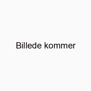 Info om vores nose work