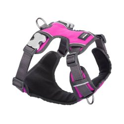 Red Dingo polstret sele - pink