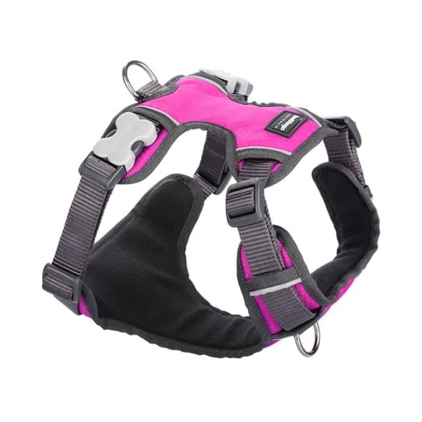 Red Dingo polstret sele - pink