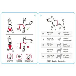 Red Dingo polstret sele - pink