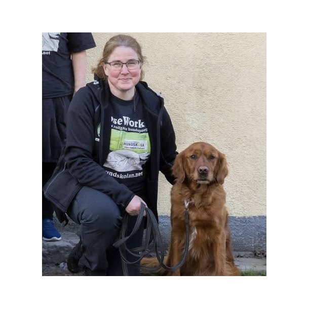 NW kursus - Lotta Castell - klasse 2/3 kursus 5 og 6 december 2026 - UDEN hund plads