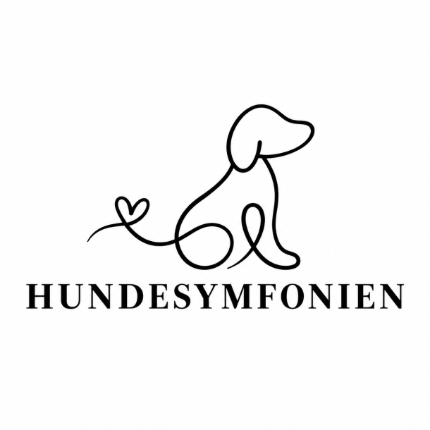 Overnatning i 5* hytte  - NW kursus 28/12-2026 - Langeland