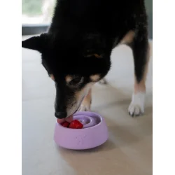 Yoomy Wobble - Hundeleget�j med besk�ftigelse