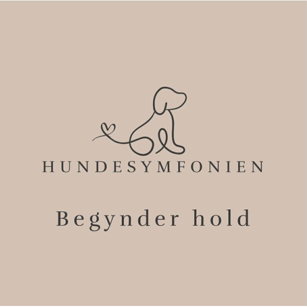 Nose work - Begynder hold - onsdag d. 7/1 2026 kl. 17.30 - 19