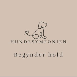 Nose work - Begynder hold - mandag d. 17/11 2025 kl. 18.30 - 20