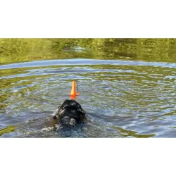 Dog Comets Bobber Green - Lighthouse 