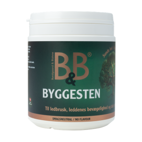 B&B Byggesten - 250g