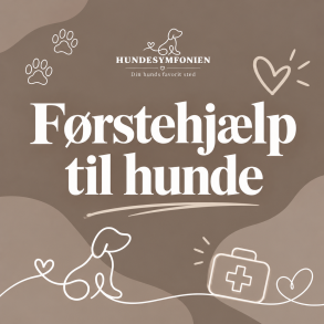 F�rstehj�lpskursus - Foredrag med Marie-Louise Scharling