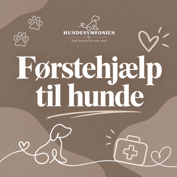 F�rstehj�lpskursus - Foredrag med Marie-Louise Scharling