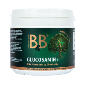 B&B Glucosamin+ - 250g