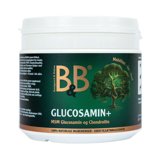 B&B Glucosamin+ - 250g