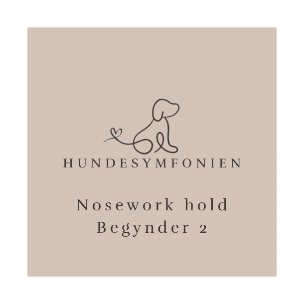 NW HOLD - Fortstter - onsdag d. 17/9 2025 kl. 19 - 20.30