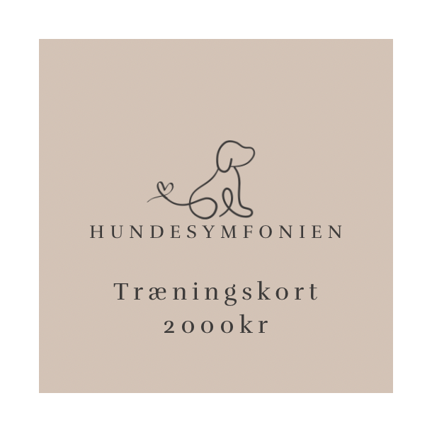 Trningskort kr. 2.500,- - vrdi kr. 2.800,-