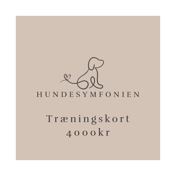Trningskort kr. 4.000,- - vrdi kr. 4.600,-