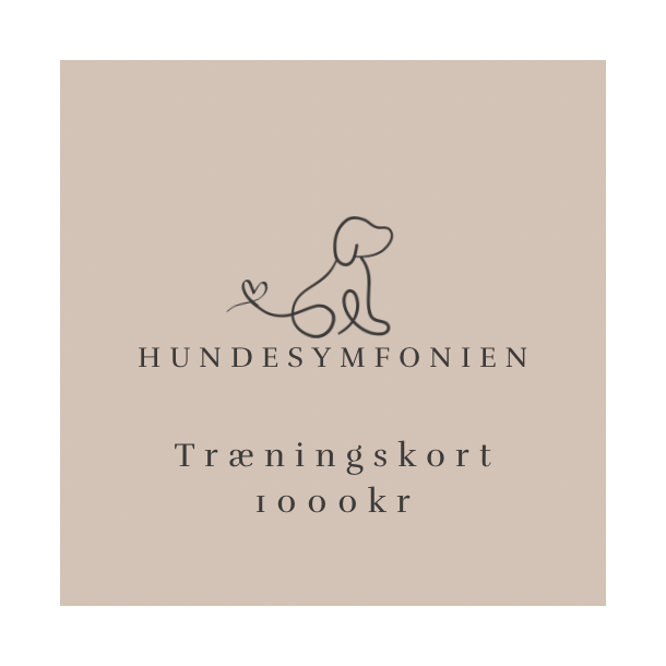 Trningskort kr. 1.000,- 