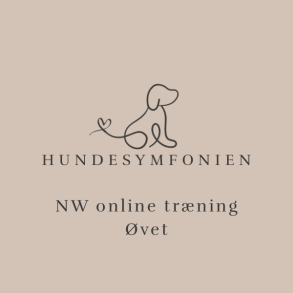 NW online tr�ning - marts 2026 - �VET