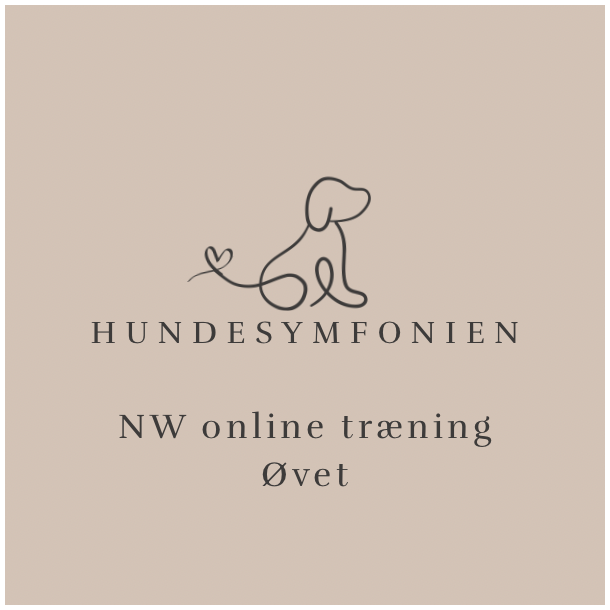 NW online tr�ning - april 2026 - �VET