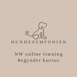 Online NW begynder kursus - marts 2026