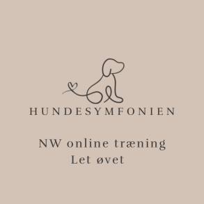 NW online tr�ning - marts 2026 - LET �VET