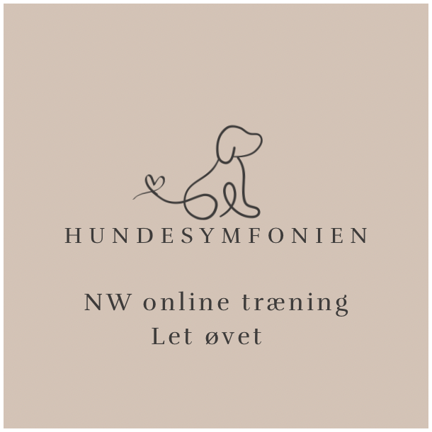 NW online tr�ning - marts 2026 - LET �VET