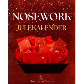 Pakkekalender til nose work hunden 2025