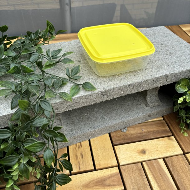 NW beholder - kasse med aftageligt lg - 14cm x 14cm x 6cm