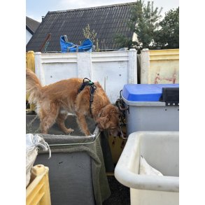 NW kursus - De utilg�ngelige og sv�rt tilg�ngelige kilder - s�ndag d. 4 oktober 2026 - Langeland