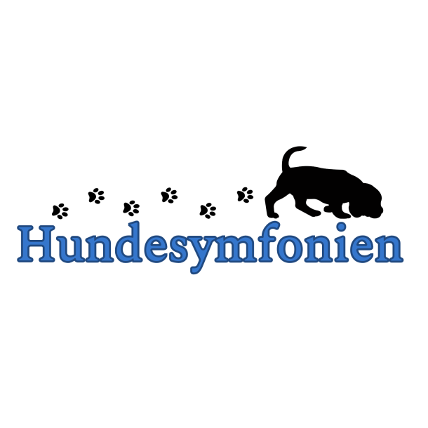 Gavekort til Hundesymfonien kr. 800,-