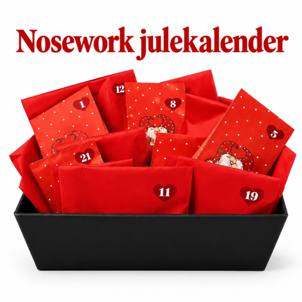 Nosework julekalender 