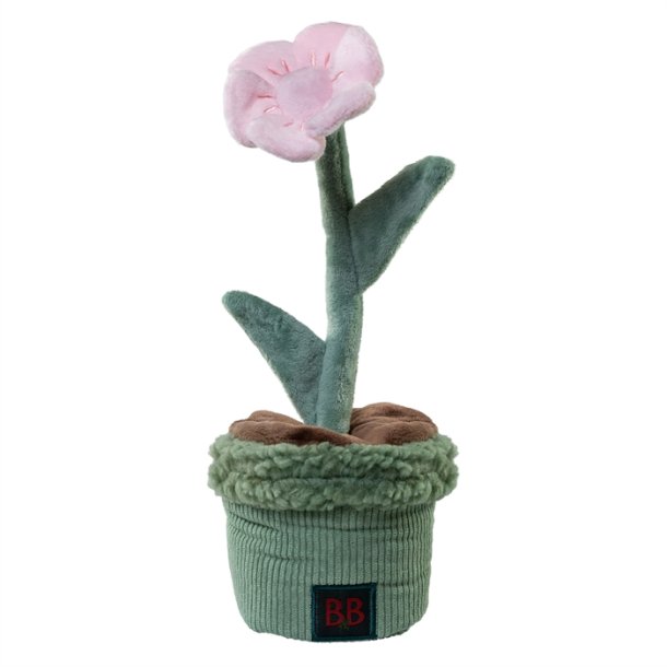 B&B Pawtanic Garden Blomst