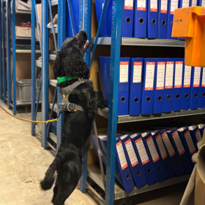 NW kursus - De hje kilder og de ttte kilder - Sndag d. 4. januar 2026 - Hillerd